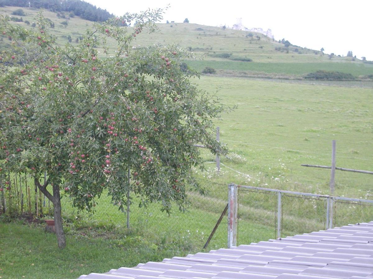 Penzion Dreveník Hotel Spišské Podhradie Buitenkant foto