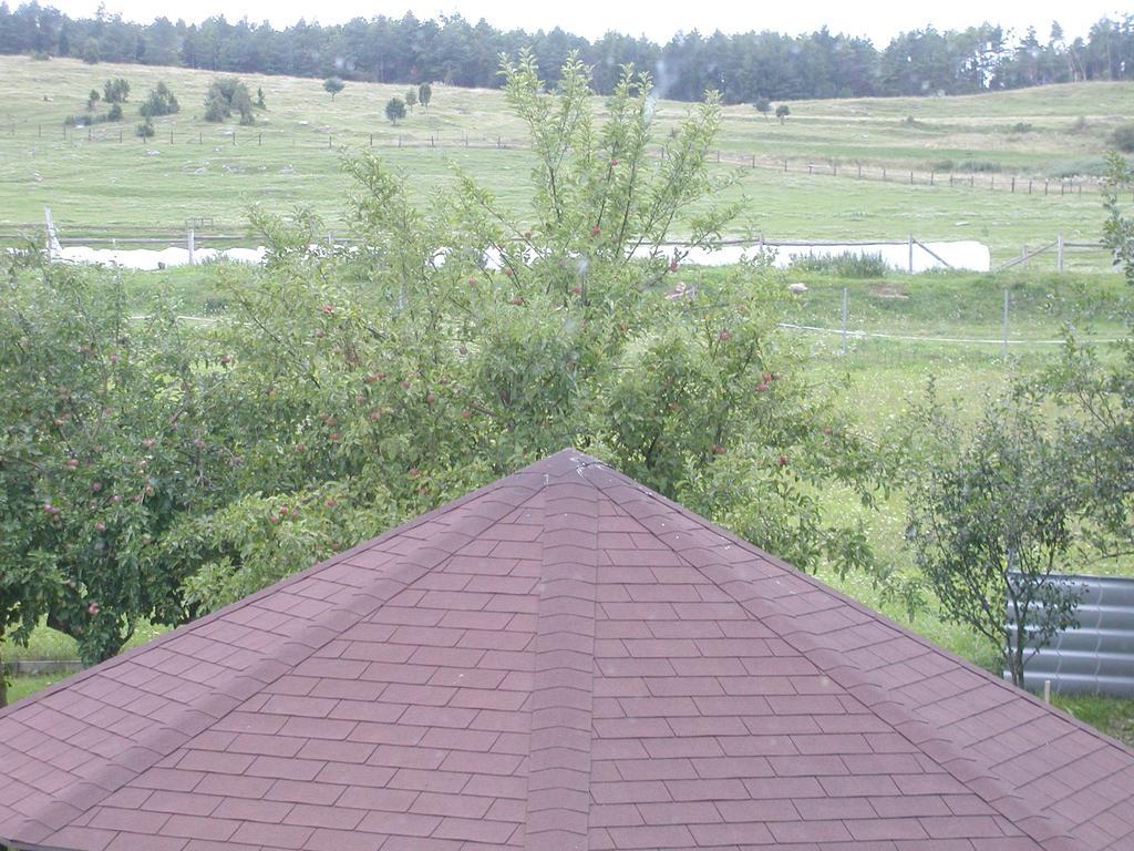 Penzion Dreveník Hotel Spišské Podhradie Buitenkant foto