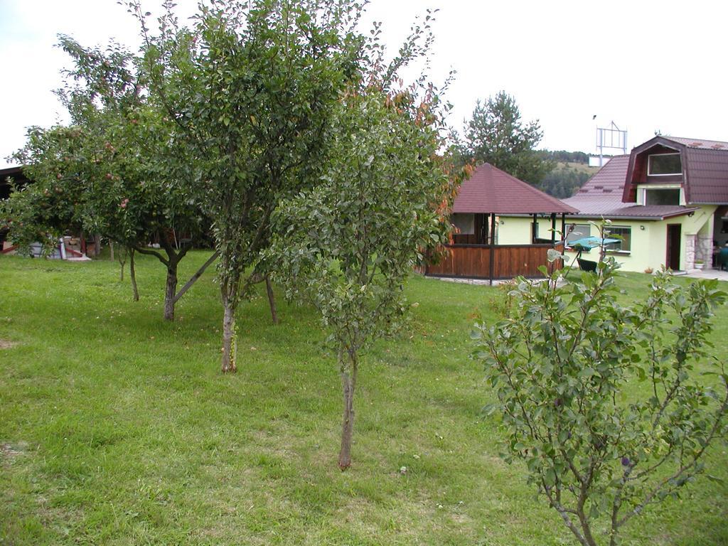 Penzion Dreveník Hotel Spišské Podhradie Buitenkant foto